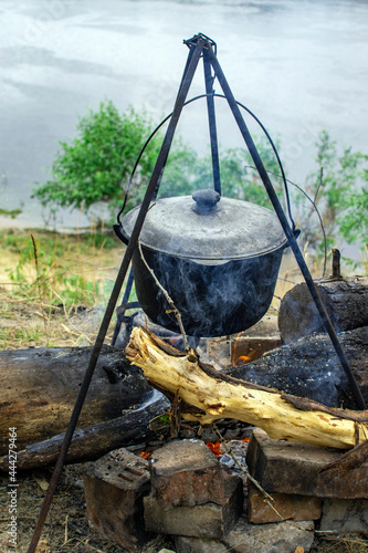 camping in the forest