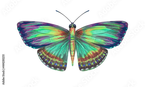 Watercolor colorful butterfly, isolate on a white background. Bright hand-drawn butterfly. Suitable for design, scrapbooking, wrapping paper, print. © Sergei