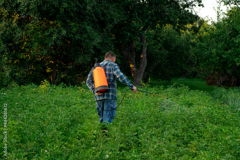 A man sprays plants from pests in the garden. A man sprays plants from pests in the garden.