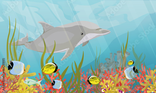 Common bottlenose dolphin Tursiops truncatus swim in warm water with green algae, corals, tropical fish and other sea creatures. Realistic vector underwater landscape