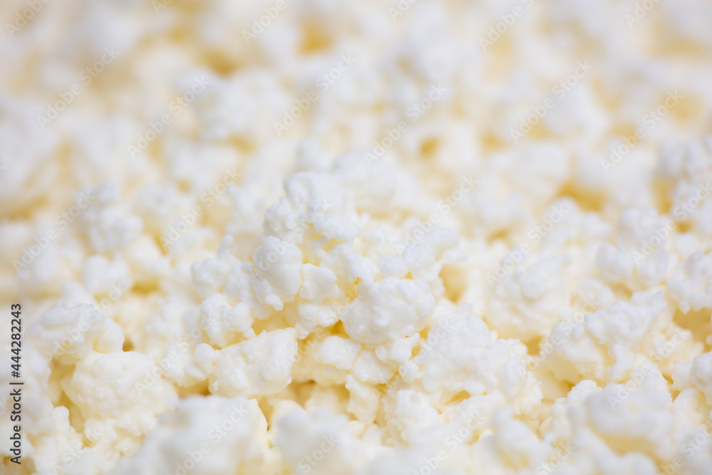 Fresh milk curd as background. Fresh milk curd as background.