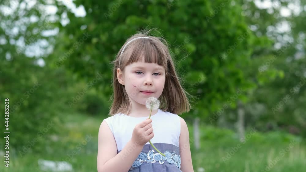 A cute little girl blowing on a dandelion in a spring park. Happy kid having fun outdoors. A cute little girl blowing on a dandelion in a spring park. Happy kid having fun outdoors.