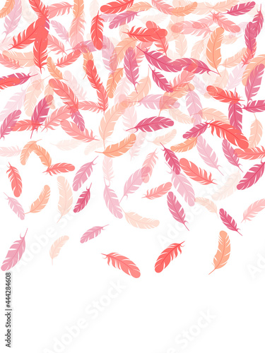 Flying feather elements airy vector design.