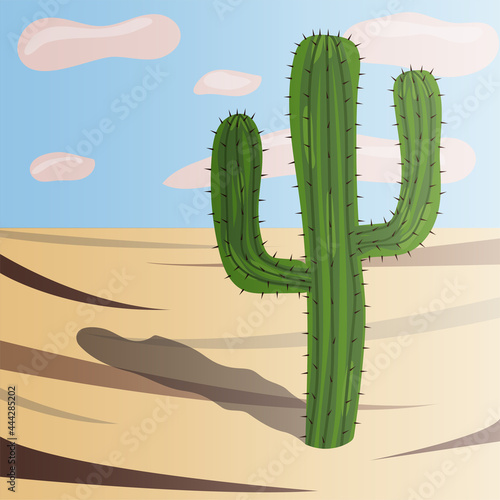 A green cactus in the desert with thorns and a shadow stands on the sand against the blue sky
