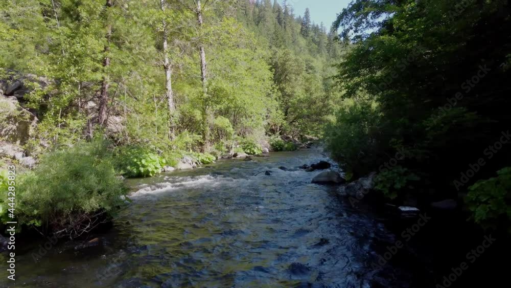 Creek in northern California near mt Shasta Creek in northern California near mt Shasta