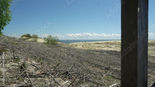 View from the observation deck of the sand beach with blue sea on the background. There is a beach full of twigs and plants at sunny summer day. Vacation at the ocean. Enjoying the beautiful landscape photo
