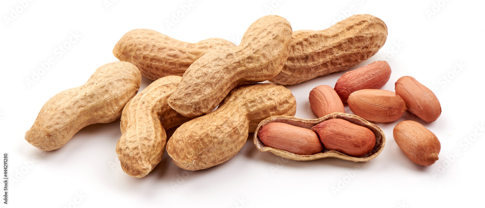 Dried peanuts, isolated on white background. Dried peanuts, isolated on white background.