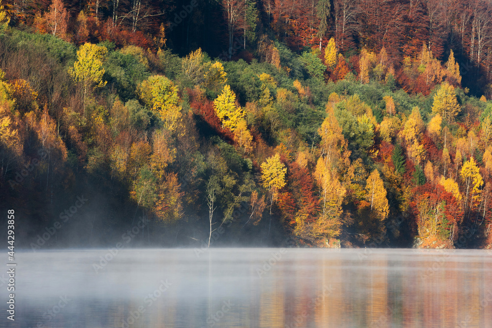 Obraz premium Fog covering the lake in autumn, forest reflection