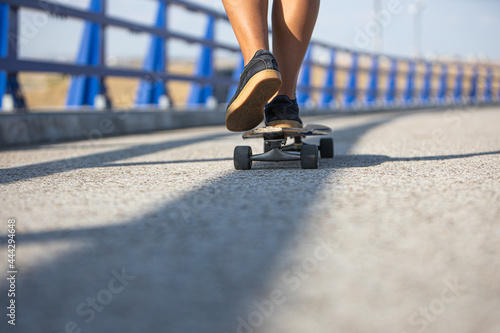 Portrait of long board babes photo