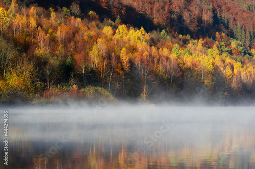 Fog covering the lake in autumn, golden forest reflection
