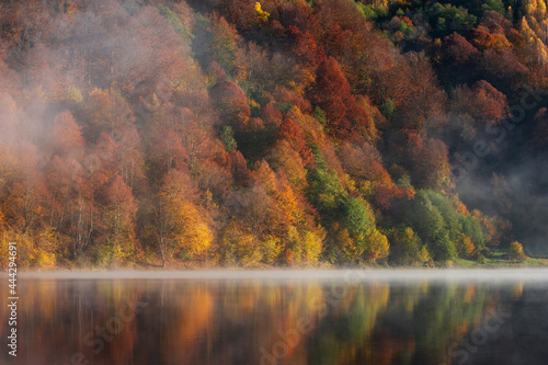Beautiful autumn forest reflecting in foggy lake © Mihai
