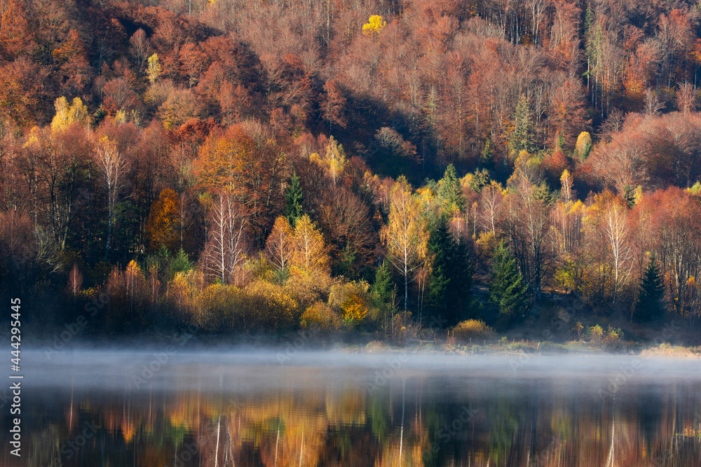 Obraz premium Beautiful autumn forest reflecting in foggy lake
