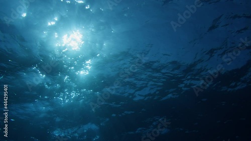 Wallpaper Mural Underwater Godrays effect. Sun beams penetrating wavy ocean surface. Ocean background light shafts VFX element. Underwater tropical marine footage. Diving, snorkeling paradise. Summer vacation. Torontodigital.ca