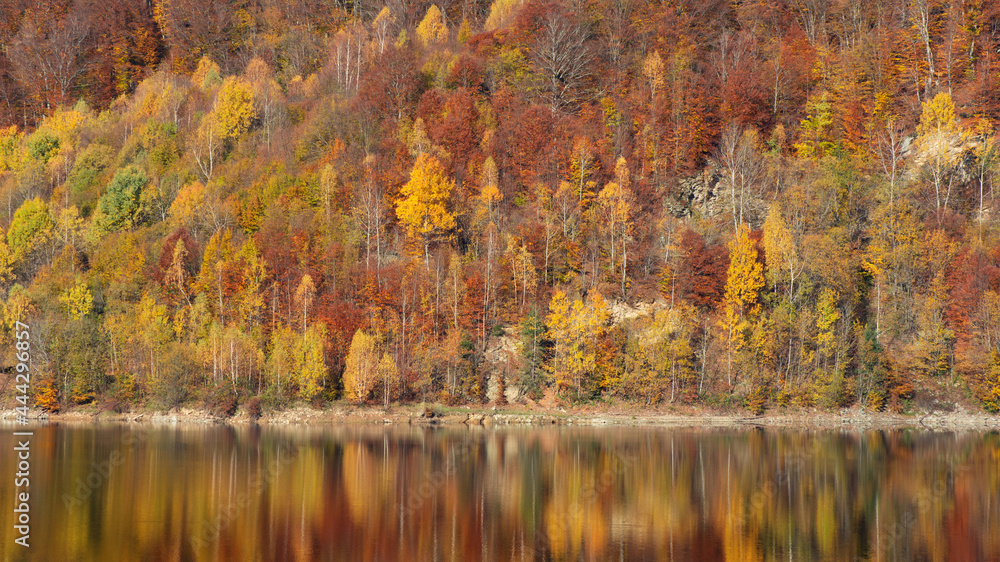 Obraz premium Autumn landscape, forest reflection in lake