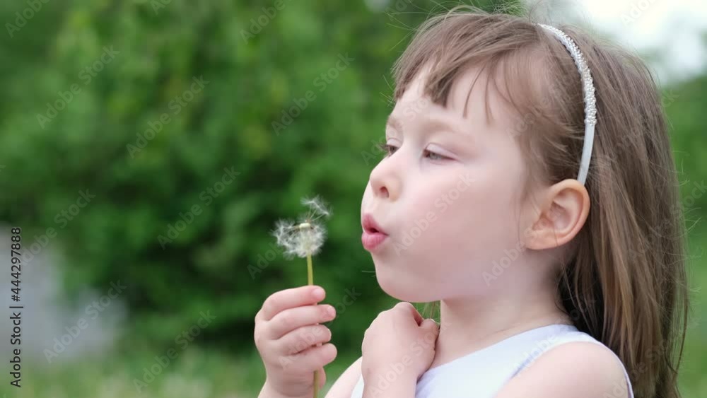 A cute little girl blowing on a dandelion in a spring park. Happy kid having fun outdoors. A cute little girl blowing on a dandelion in a spring park. Happy kid having fun outdoors.