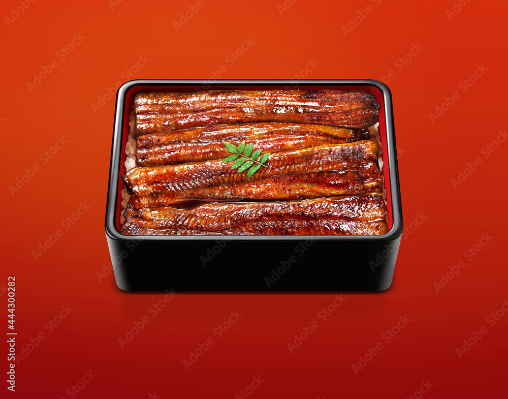 うなぎ イラスト リアル 鰻重 うな重 赤背景 Stock 写真 Adobe Stock