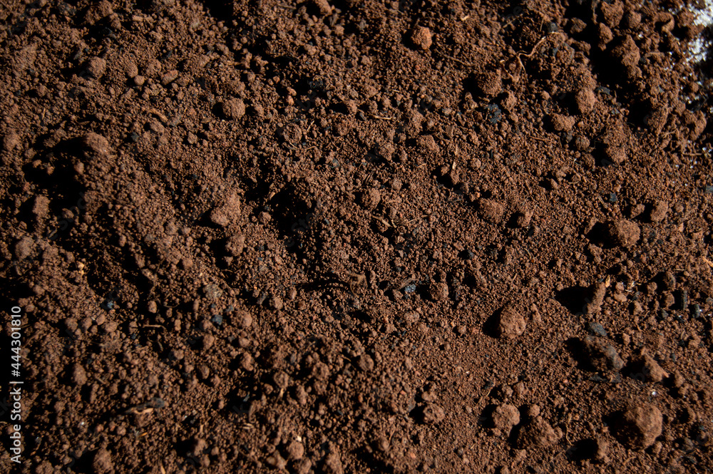 Close up de terra Close up de terra