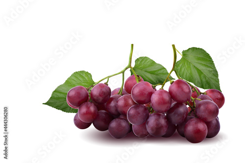 Bunches of fresh ripe red grapes on white background.