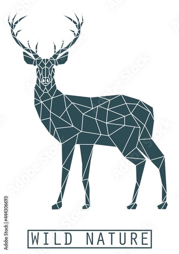 DEER LOW POLY BACKGROUND ANIMALS WILD NATURE © Andrii Yablonskyi