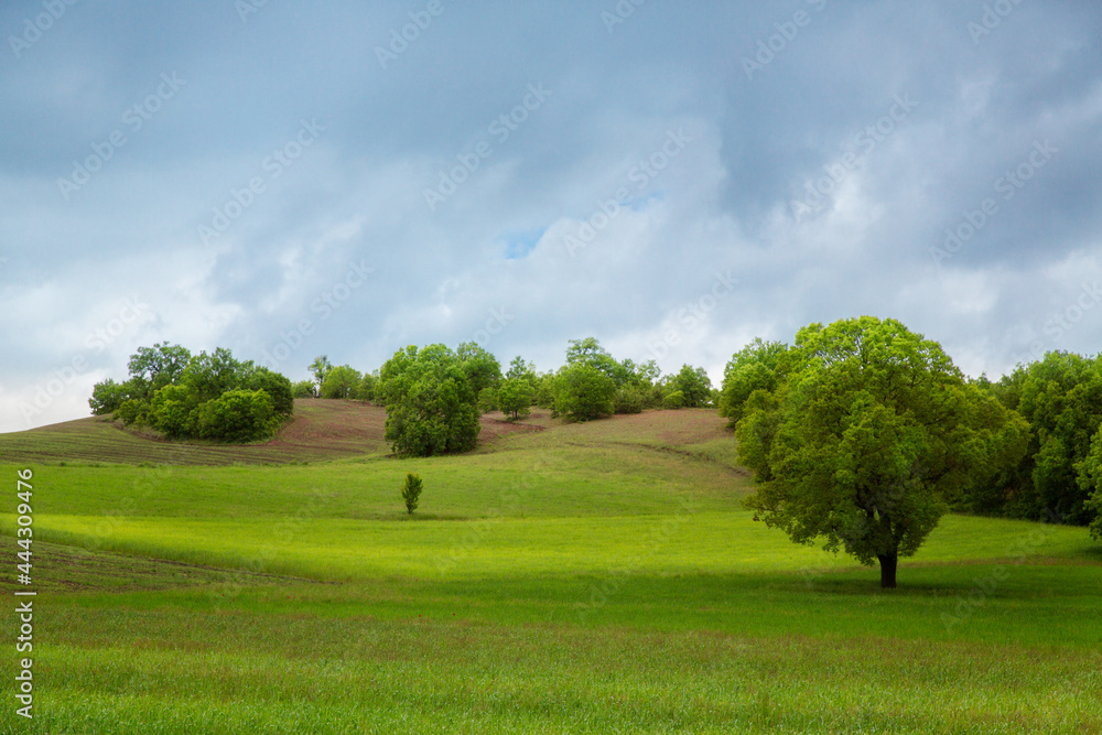 Landscape of the German countryside in summer. Landscape of the German countryside in summer.