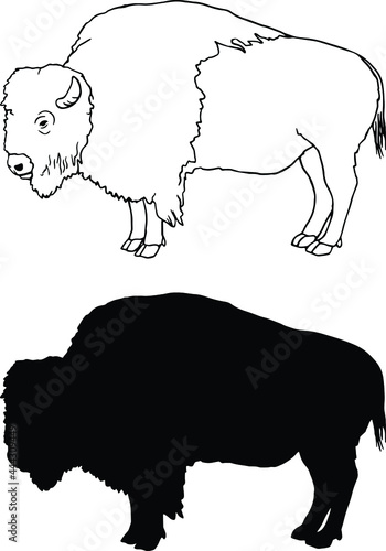 Realistic Bison Outline and Silhouette Clipart Set