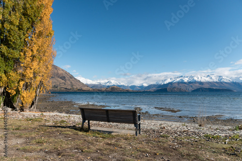 Lake Wanaka bench, New zealand.