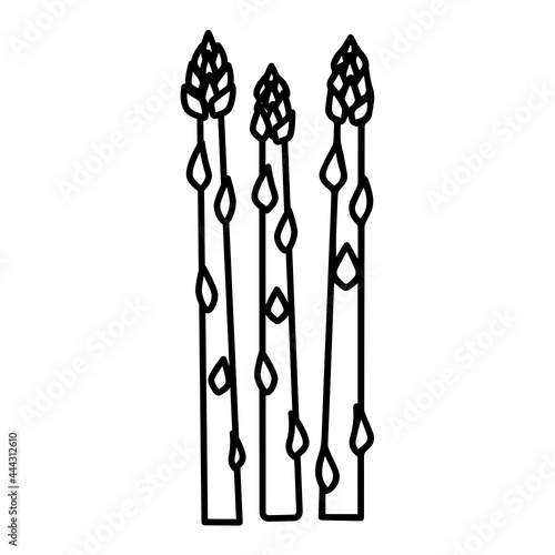 Asparagus 