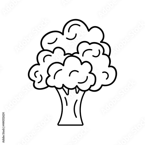 Broccoli, cauliflower