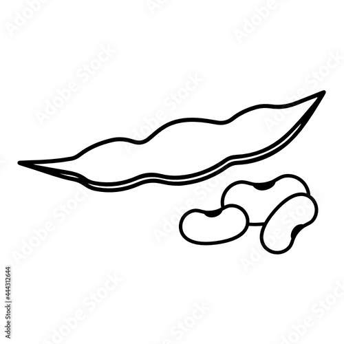 Soybean