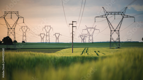 Hight voltage pylon in wheat fields