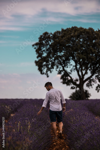Chico joven con camisa blanca paseando por los campos de lavanda © Josele