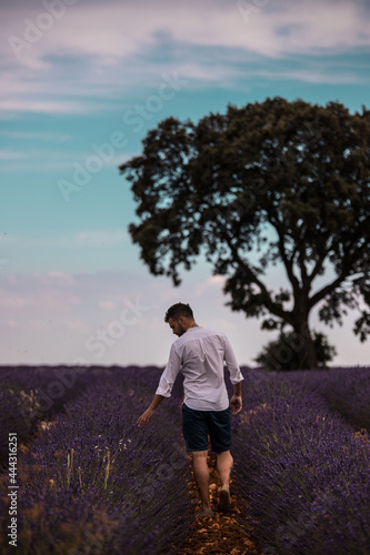 Chico joven con camisa blanca paseando por los campos de lavanda