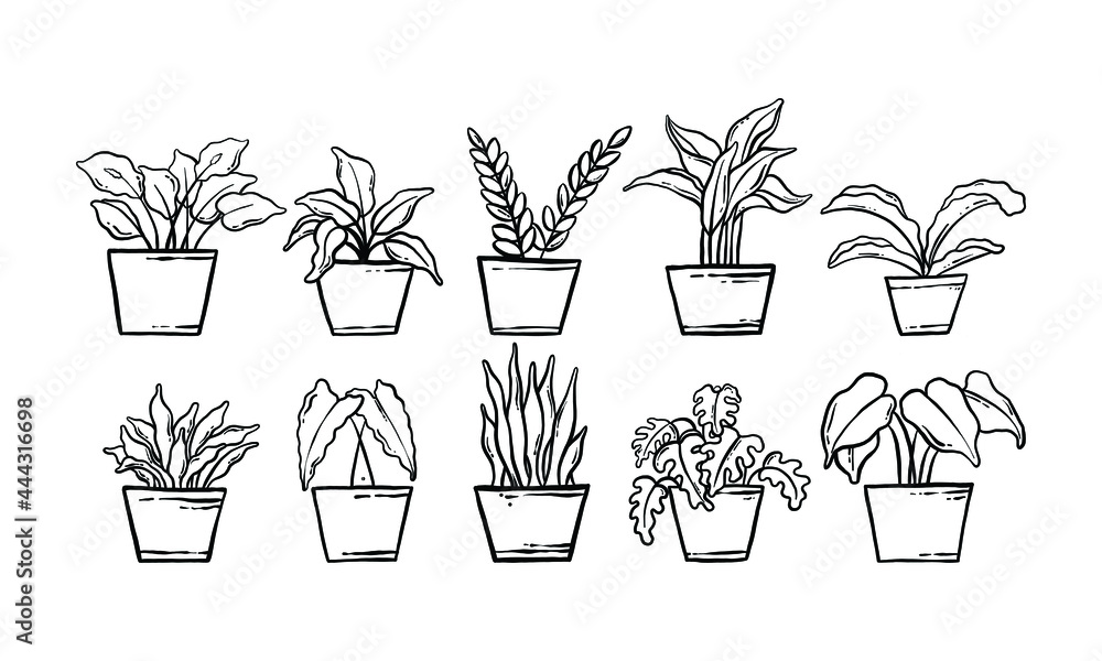 houseplant hand drawn illustration. vector line art of the potted home plant collection set. floral plant isolated on white background. houseplant hand drawn illustration. vector line art of the potted home plant collection set. floral plant isolated on white background.