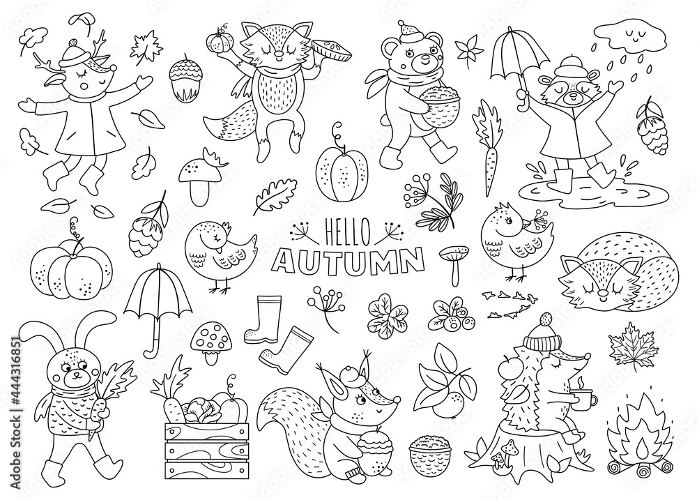 Black and white vector autumn animals set. Cute outline woodland collection. Fall season icons pack. Funny forest line illustration or coloring page with hedgehog, fox, bird, deer, rabbit, bear. Black and white vector autumn animals set. Cute outline woodland collection. Fall season icons pack. Funny forest line illustration or coloring page with hedgehog, fox, bird, deer, rabbit, bear.