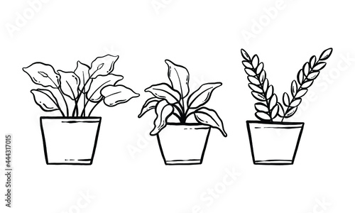 houseplant hand drawn illustration. vector line art of the potted home plant collection set. floral plant isolated on white background.