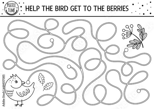 Autumn black and white maze for children. Preschool printable activity or coloring page. Funny fall season puzzle with cute woodland animal. Help the bird get to berries. Forest line game.