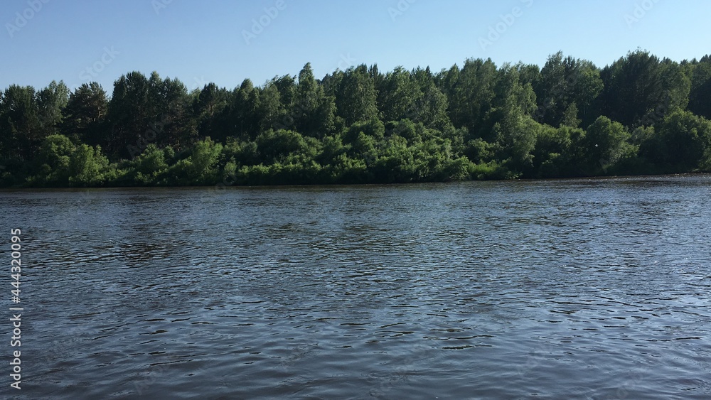 lake in the forest