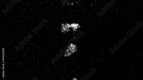 Air bubbles in water rising up to the surface on isolated black background. Air bubbles floating under transparent water bubbles in aquarium