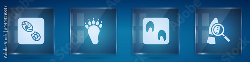 Set Human footprints shoes, Bear paw, Horse and Magnifying glass with footsteps. Square glass panels. Vector