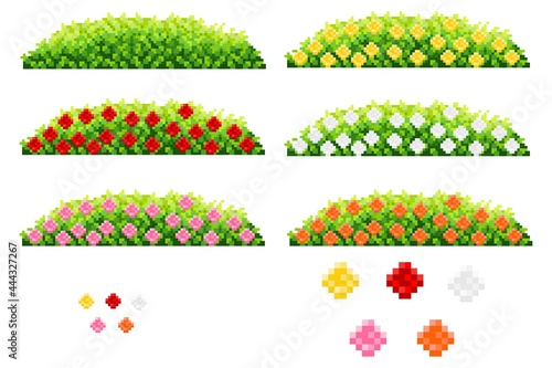 Set rose bush pixel art. Decorative bush pixel art. Vector illustration. 