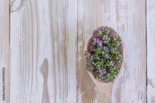 blooming thyme in a wooden spoon on a wooden background with copy space. spices, seasonings, medicinal herbs.