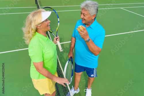 Portrait of senior couple playing tennis on sunny day.