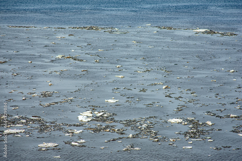 Fototapeta premium ice floats on the Volga River in spring