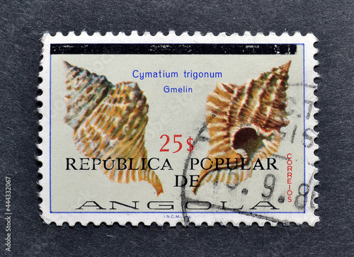 Cancelled postage stamp printed by Angola, shows Sea shell Trigonal Hairy Triton (Cymatium trigonum), circa 1974. photo