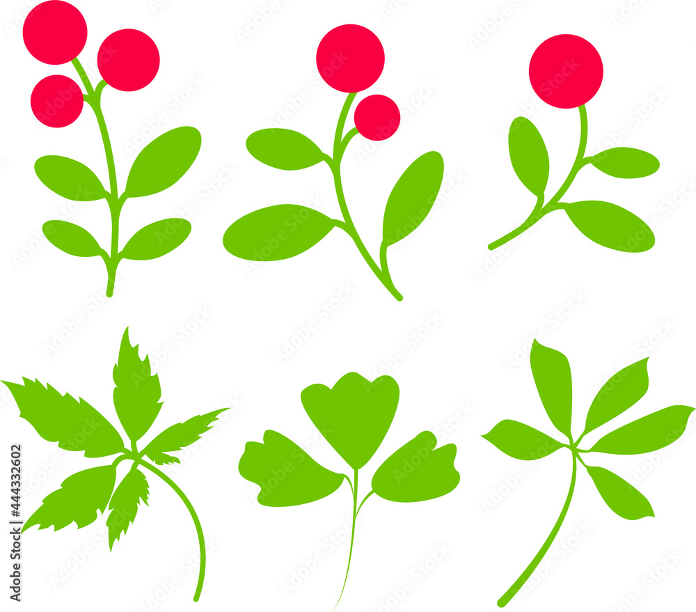 Set of simple  leaves and berries. Isolated on white background.    vector illustration.