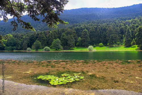lake in the mountains