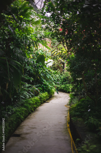 path in the botanical garden
