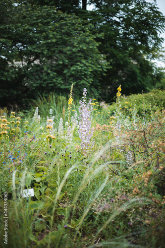 botanic garden