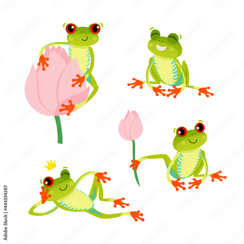 Set of cute red eyed frogs. Tree frog in different poses. Vector 10 EPS illustration. Isolated on white background.