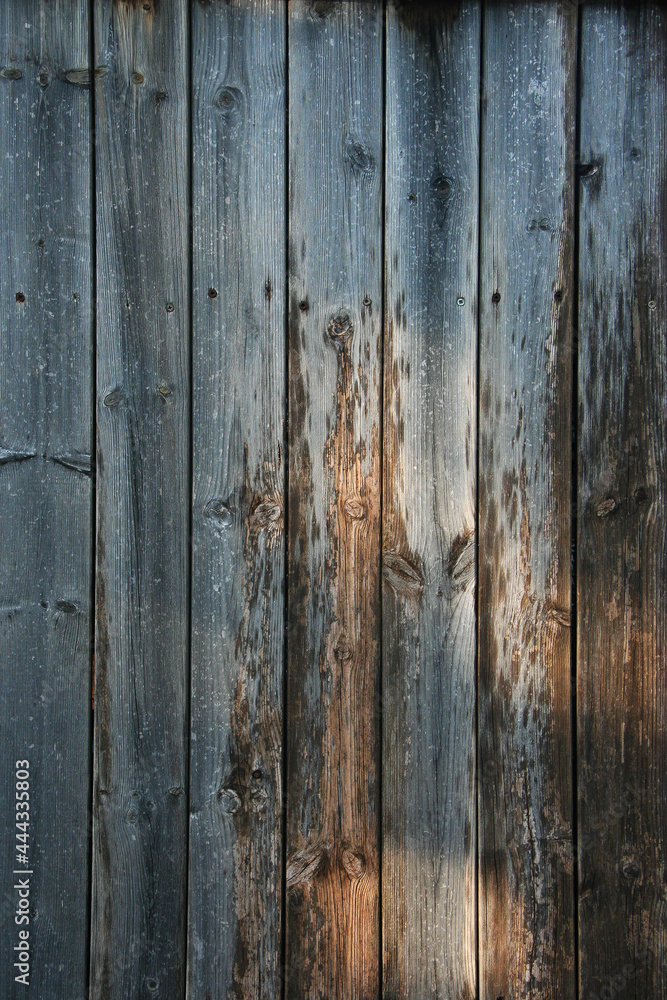 Rustic wood plank wall texture background.
Wood old plank vintage texture background. wooden wall horizontal plank natural with pattern for design. Rustic wood plank wall texture background.
Wood old plank vintage texture background. wooden wall horizontal plank natural with pattern for design.